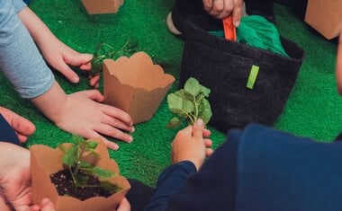 Imagem de destaque para Férias escolares: o que fazer com as crianças em São Paulo em julho de 2024