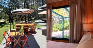 Viagens: Com hospedagem em casas históricas e ecoturismo, Horto Florestal de Campos do Jordão é destino para toda a família!
