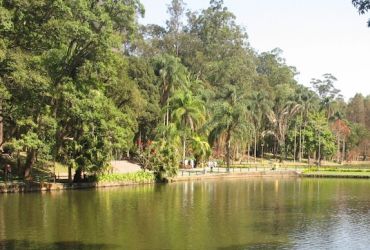 Imagem de destaque para Horto Florestal (Parque Estadual Albert Löefgren)